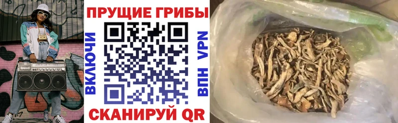Псилоцибиновые грибы мухоморы Славянск-на-Кубани