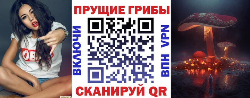 Галлюциногенные грибы ЛСД  KRAKEN маркетплейс  дарк нет Telegram  Славянск-на-Кубани 